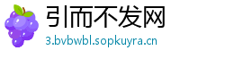 引而不发网